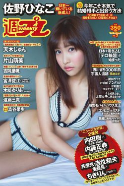 青云志一共多少集